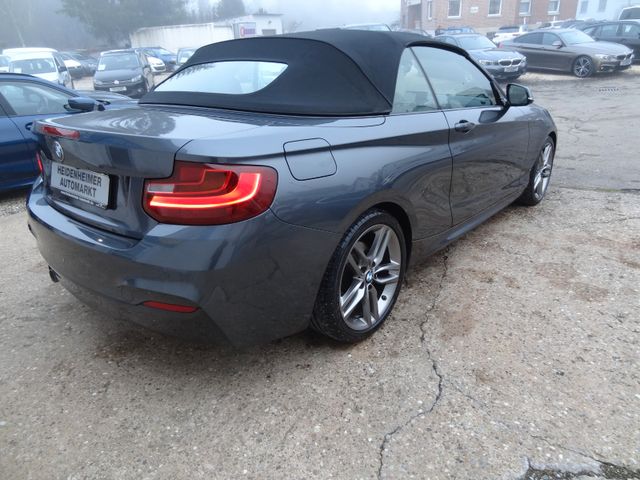 Fahrzeugabbildung BMW 230i M Sport/Leder/Navi/Kamera/Automatik/