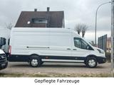 Ford Transit L4H3 Lang+Hoch Trend AHK AirLine SHZ TOP - Ford Transit: Hoch Lang