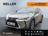 Lexus UX 300e *Bi-LED*Leder*4x SHZ*el Sitze*Kamera*ACC - Lexus Elektroautos