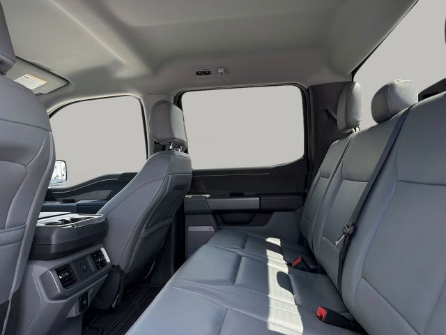Ford F 150 Lightning Flash gr Batterie im Vorlauf+18