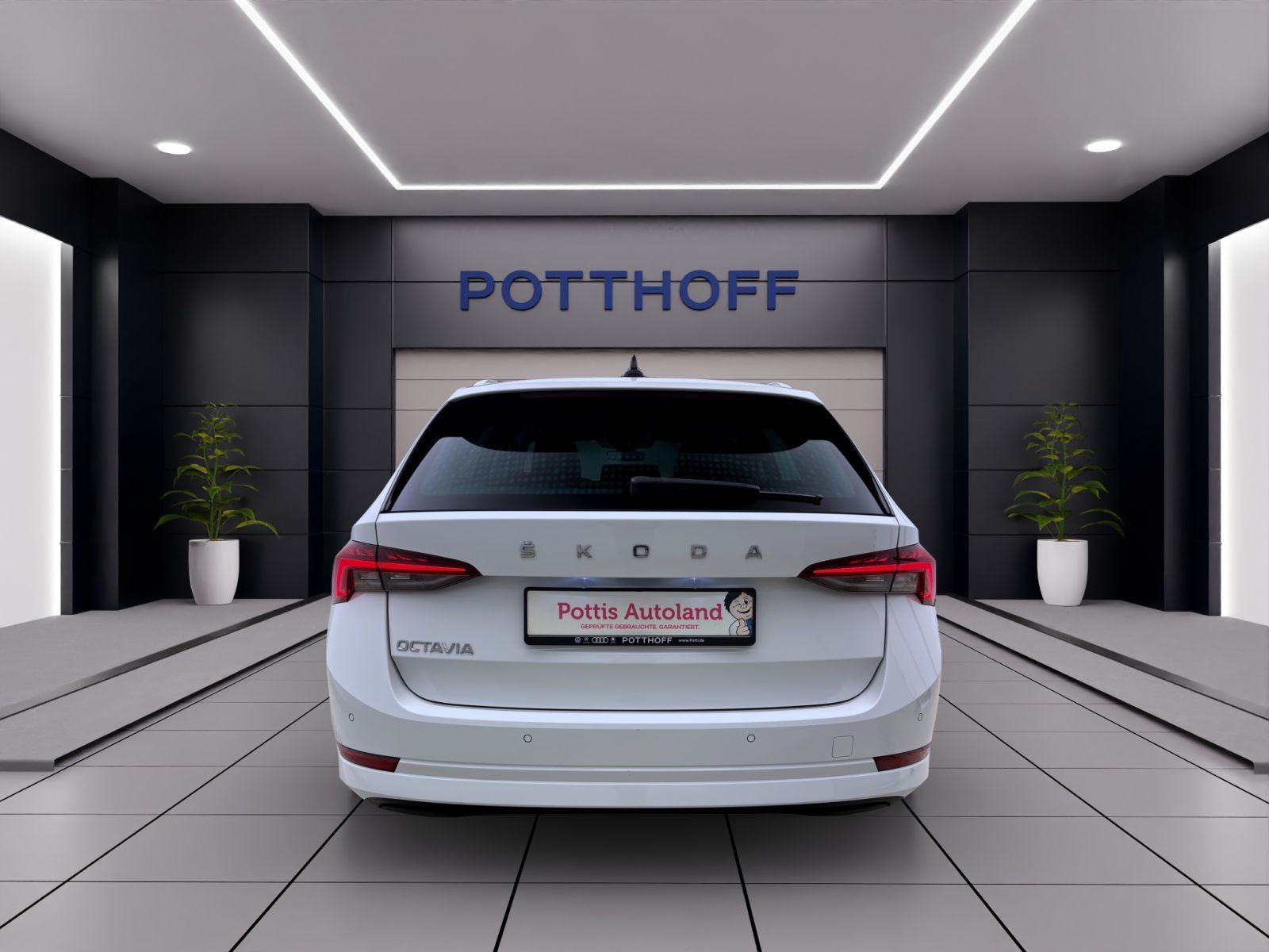 Skoda Octavia - Bild 3