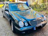 Mercedes-Benz Mercedes Benz E-Klasse 270CDI Elegance - Mercedes-Benz E 270: Cdi Elegance
