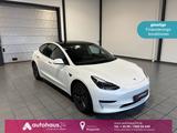 Tesla Model 3   ACC|Leder|Kamera - Tesla in Wuppertal