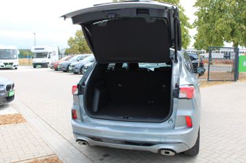 Ford Kuga ST-Line