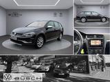 Volkswagen Golf VII Variant Alltrack 4Motion TDI 2,0l 135kw - Volkswagen Golf mit Diesel-Antrieb: 4.1