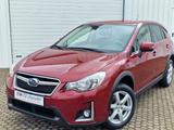 Subaru XV  AWD-Allrad*Xenon*R-Kamera*Tempomat - Subaru aus 2016