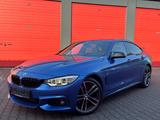 BMW 428i M Sport_Head_Up Display_Harman Kardon - BMW 428 Gran Coupé