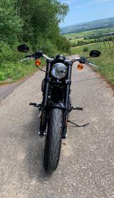 Harley-Davidson Roadster 1200 mattschwarz 6300 km *Top Zustand* - HARLEY-DAVIDSON ROADSTER 1200