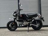 Honda MONKEY 125 / AKTION "TAGESZULASSUNG" - Offers matching your search criteria