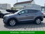 Hyundai Tucson Intro Edition 2WD KAMERA|LED|TOTWINK|AHK - Hyundai Gebrauchtwagen in Mainz