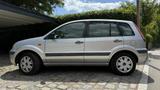 Ford Fusion 1.4 TDCi (Diesel) - Ford Fusion mit Diesel-Antrieb
