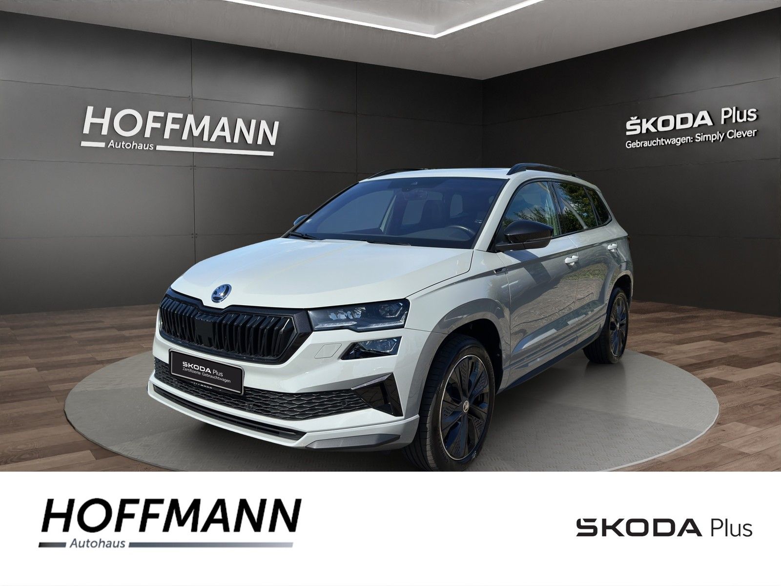 Fahrzeugbild von Skoda Karoq