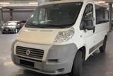 Fiat FIAT DUCATO 9 POSTI GARANZIA UNIPRO - Fiat Ducato aus 2010: Van