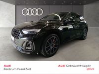 Audi SQ5 - Vorschau Bild 1
