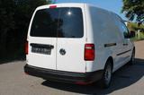 Volkswagen Caddy 2.0 TDI Maxi, Euro 6, -10°C Motor+S - Angebote
