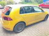 Volkswagen Golf 1.6 TDI Sound Sound - : Gold, TDI