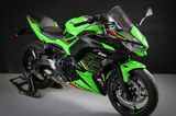 Kawasaki Ninja 650 2023 Green 35KW/48PS 4 Jahre Garantie