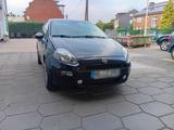 Fiat Verkaufe Fiat punto - Fiat Punto von privat