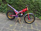 Beta Evo 300 factory  - Angebote