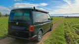 Volkswagen T6 Multivan mit Aufstelldach, Campervan - Volkswagen: Multivan mit Aufstelldach