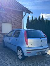 Fiat Punto 1.2 16V Dynamic Dynamic - Fiat Punto Dynamic mit Benzin-Antrieb