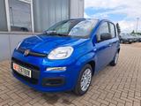 Fiat Panda MODELL 2025 1.0 Hybrid CITY-PAKET KLIMA  - Fiat Panda New cars