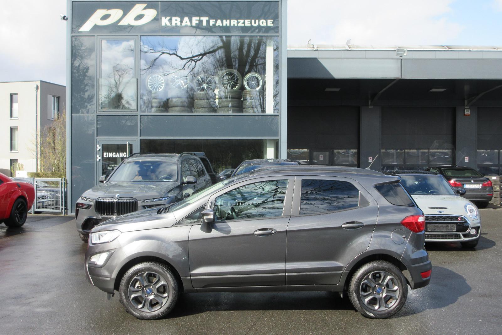 Ford Eco Sprot Cool 1. Hand Kamera Navi Allwetter
