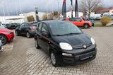 Fiat Panda Pop Klima 8 fach bereift - Fiat Panda: Pop