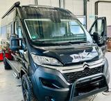 Clever Celebration 600 - Clever Celebration