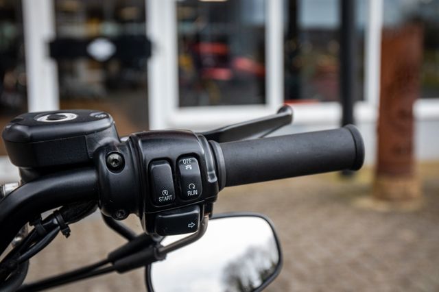 Fahrzeugabbildung Harley-Davidson XL1200X SPORTSTER FORTY-EIGHT - REMUS -
