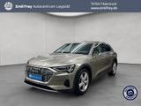 Audi e-tron 55 quattro advanced Leder LED Pano - mit Elektro-Antrieb: Gold