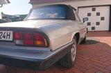 Alfa Romeo Spider 115 - Charmanter Klassiker - Alfa Romeo aus 1984