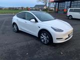Tesla Model Y Hinterradantrieb RWD Carbon - Tesla Model Y in Bonn