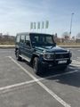 Mercedes-Benz G 300 TD Station Wagon Lang 463