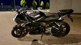 Yamaha YZF-R6 RJ09 - YAMAHA YZF R6 RJ09