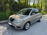 Lancia Ypsilon 1.4 16V Platino NEOPATENTATI - Lancia Ypsilon Platino mit Benzin-Antrieb