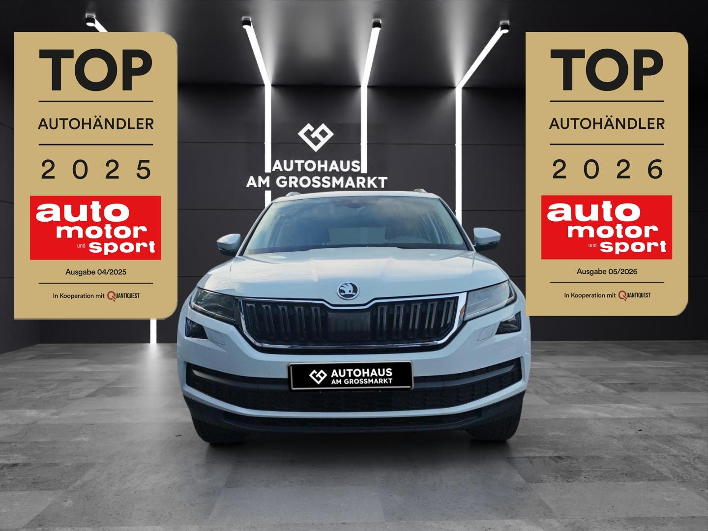 Skoda Kodiaq Style Navi, AHK, Leder, Rückfahrk, Memory