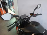 KTM 890 DUKE GP schwarz - Demobike - KTM DUKE GP 890
