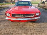 Ford ford mustang 66 er - Ford Mustang in Wiesbaden