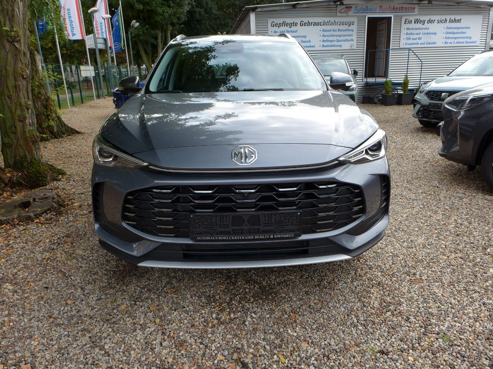 MG ZS