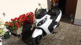 SYM Maxsym 400i ABS - SYM VON 251 BIS 500 CCM