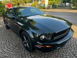 Ford Mustang 4.6 Liter V8 Bullit  1Hand Unfallfrei - Ford: Grün, Metallic