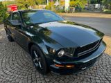 Ford Mustang 4.6 Liter V8 Bullit  1Hand Unfallfrei - Ford Mustang: Coupé, V6