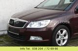 Skoda Octavia 1.6 TDI Family  Klimat/Pdc/Shz/1Hand/Alu - Skoda Octavia aus 2012 mit Diesel-Antrieb: Limousine