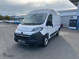 Opel Movano Kasten H2 33 L2H2 BlueHDI 140 DAB PDC