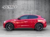 Alfa Romeo Stelvio Quadrifoglio Q4 - Alfa Romeo Stelvio in Leipzig