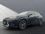 Lexus UX 250 H,LEDER,NAVI, HUD DISPLAY*LEDER - Lexus UX aus 2019