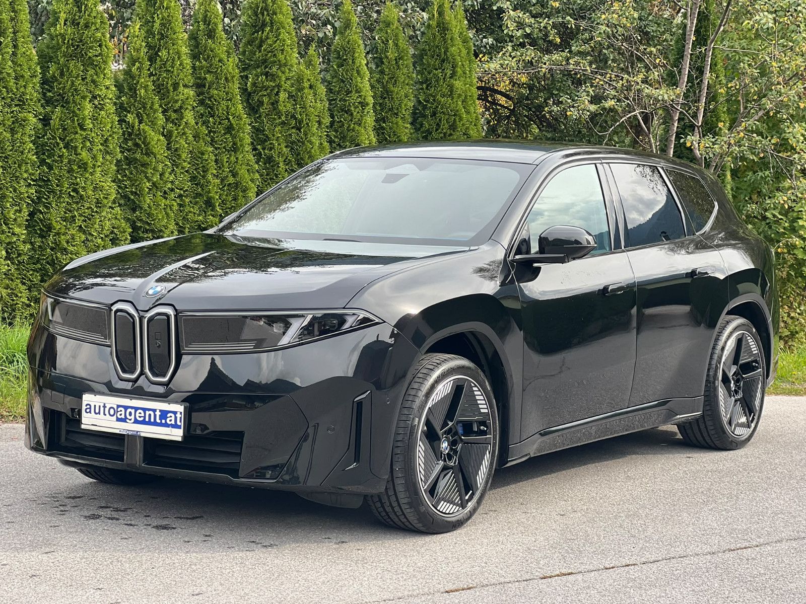 BMW iX3 50 xDrive M-Sport AHK H&K PANO