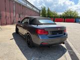 BMW M240i xDrive|Adapt.FW|NavPro|H&K|RFK|Leder - BMW: R24