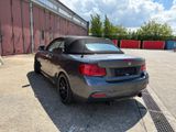 BMW M240i xDrive|Adapt.FW|NavPro|H&K|RFK|Leder - BMW M240i aus 2018